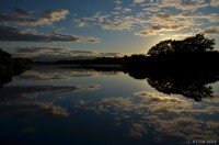 /album/photo-gallery-silhouette/%e7%a9%ba%e3%81%a8%e6%a3%ae%e3%82%92%e6%98%a0%e3%81%99%e5%a4%a7%e3%81%8d%e3%81%aa%e9%8f%a1%e3%80%80%e3%80%80%ef%bd%9e%e6%81%af%e3%81%8c%e6%ad%a2%e3%81%be%e3%82%8b%e6%b0%b4%e8%be%ba%ef%bd%9e-jpg/